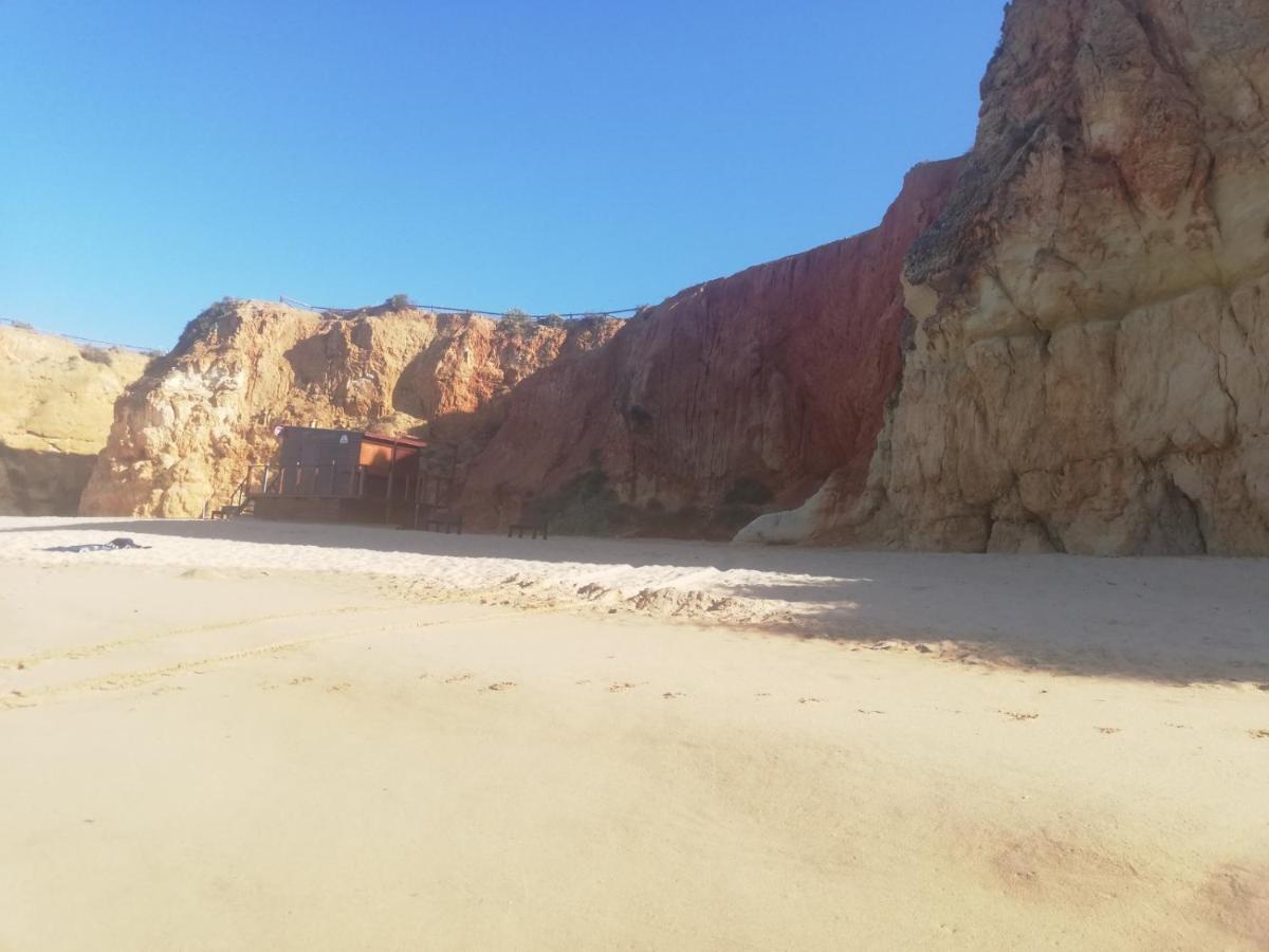 Rocha Praia Mar Beach Front Line Bay ปอร์ติเมา ภายนอก รูปภาพ