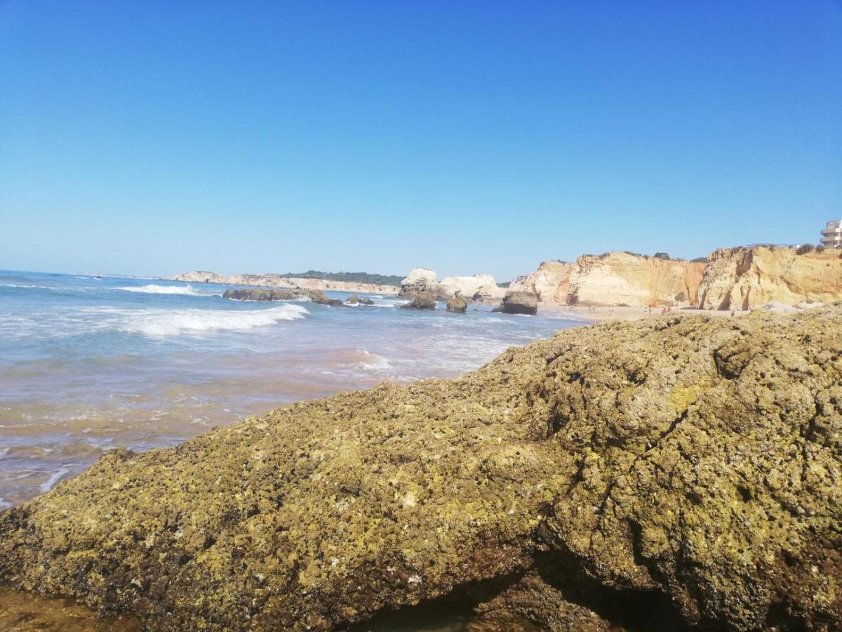 Rocha Praia Mar Beach Front Line Bay ปอร์ติเมา ภายนอก รูปภาพ