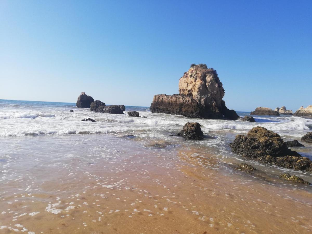 Rocha Praia Mar Beach Front Line Bay ปอร์ติเมา ภายนอก รูปภาพ